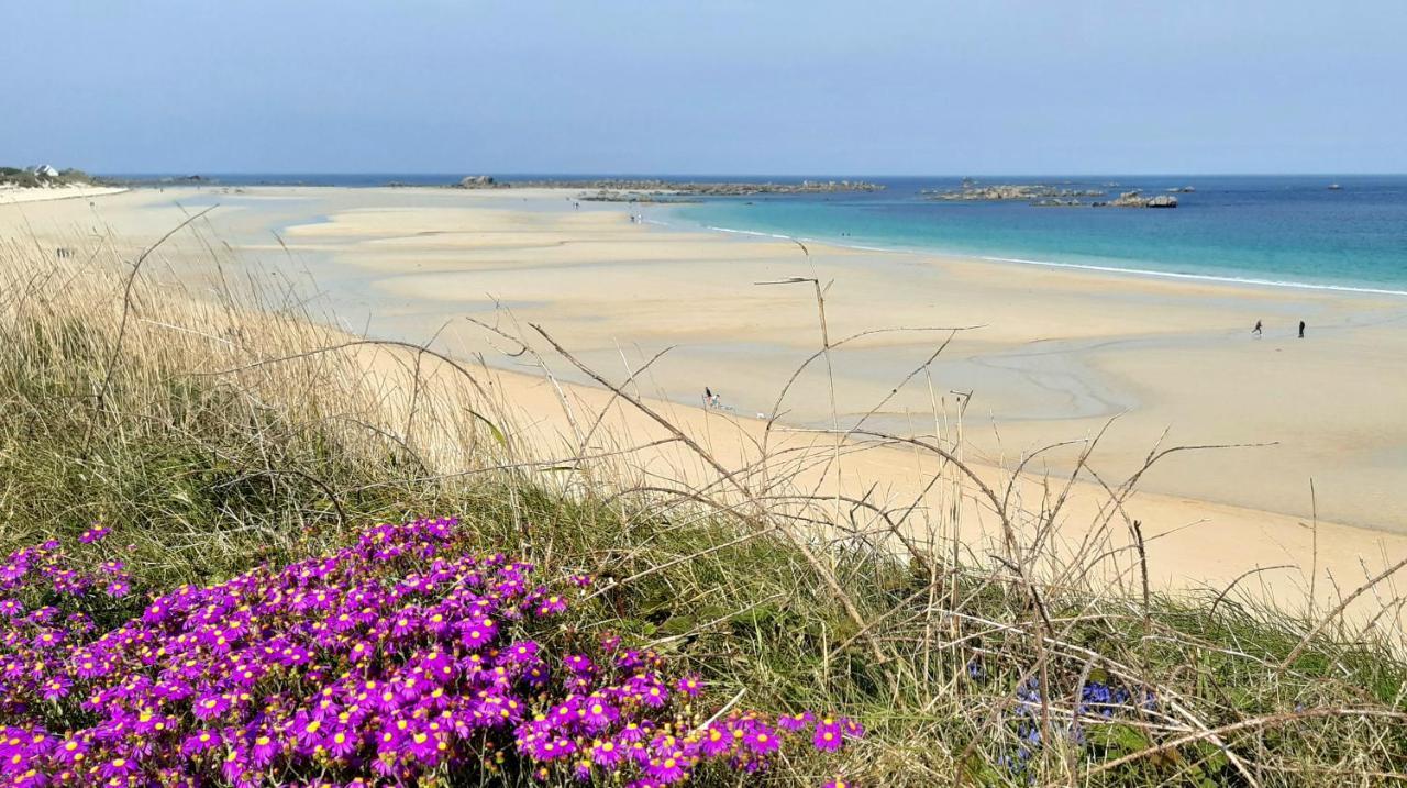 Vila L'Ecurie Kerdoel Cléder Exteriér fotografie